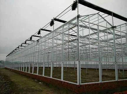 Greenhouse10-1