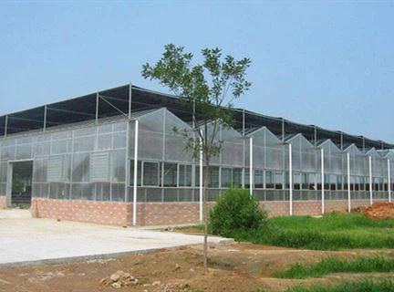 Greenhouse12_
