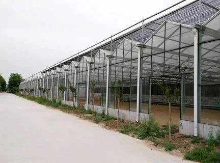 Greenhouse13_