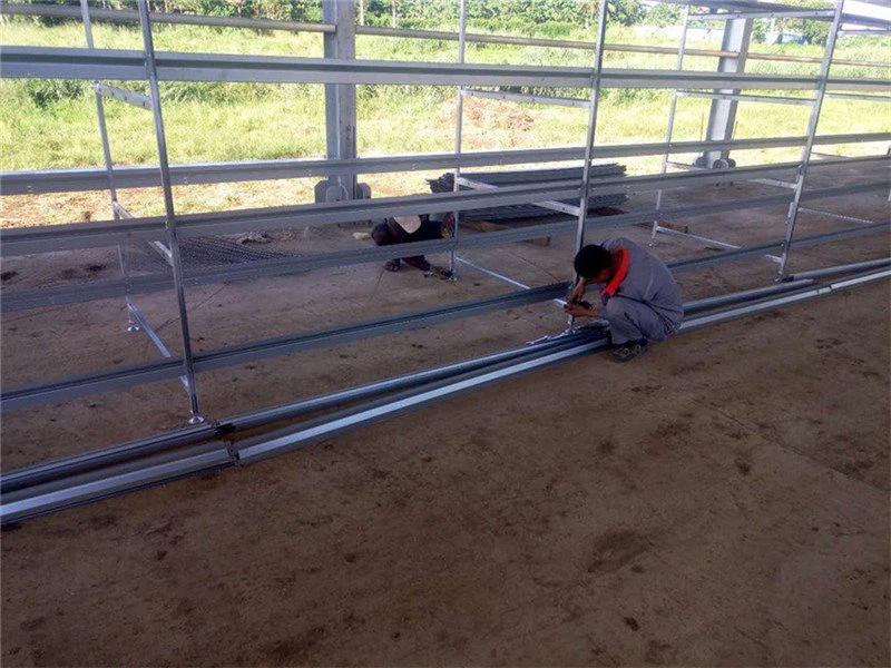 Prefab Steel Structure Laying Hen House