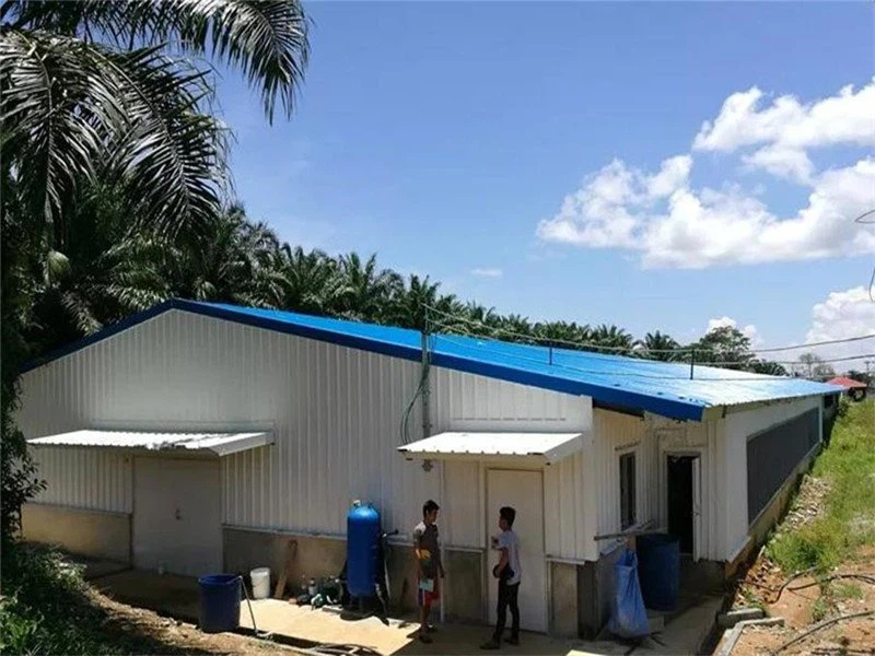 Prefabricated Steel Structure Broiler House for Poultry Shed