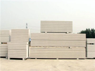 Autoclaved Aerated Concrete Panel (AAC)