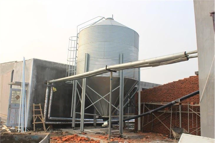 Broiler Layer Chicken House