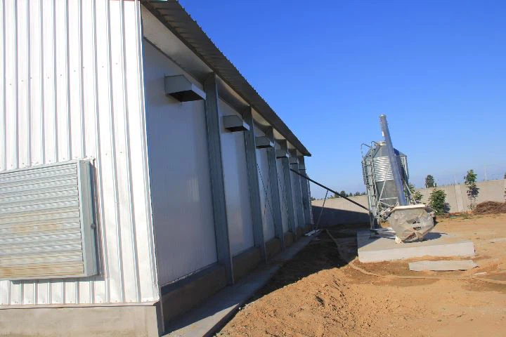 Modern Chicken Coop