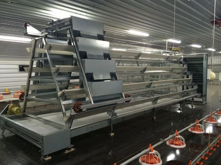 Modern Chicken Cage-ALD4128