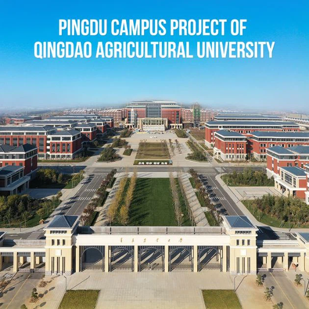 XIN GUANGZHENG QUALITY PROJECT-7