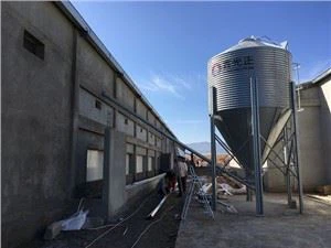 Modern Layer Poultry Farm