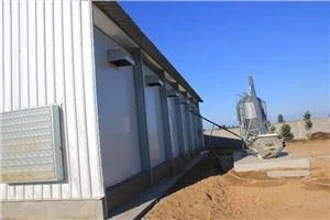Modern Chicken Coop