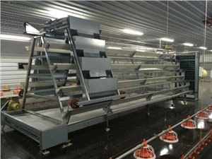 Modern Chicken Cage-ALD4128