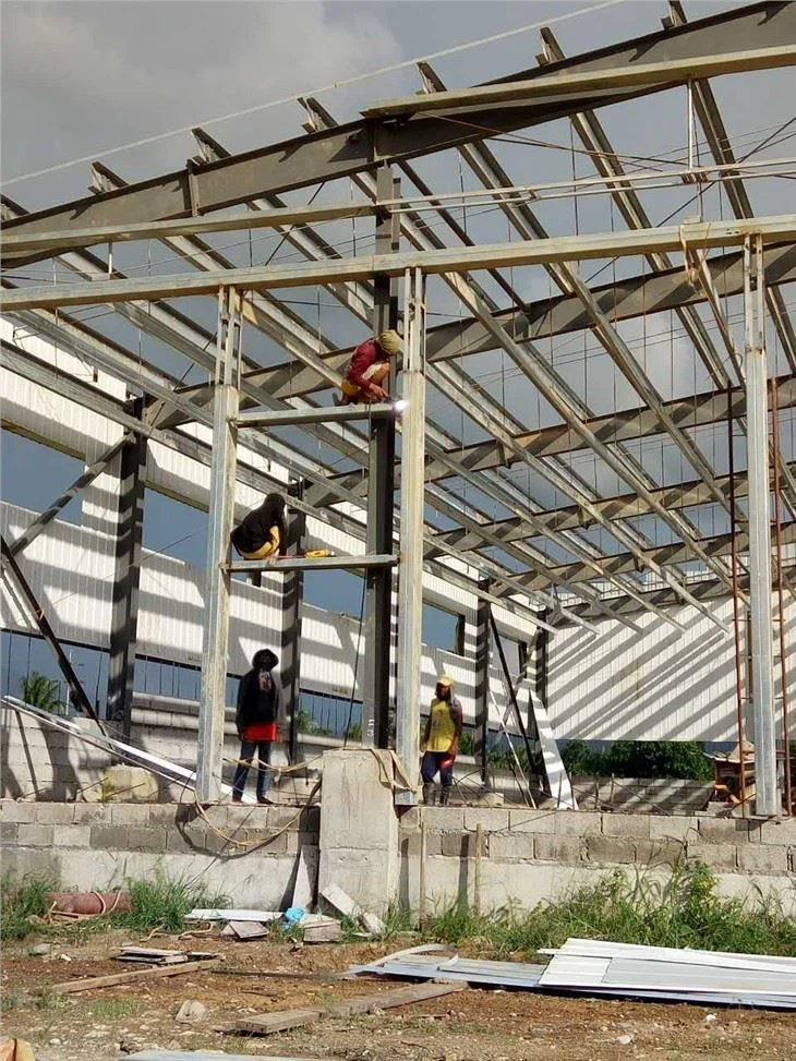 Steel Structural Engineering